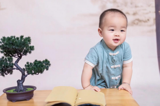 固安可爱的企鹅宝宝